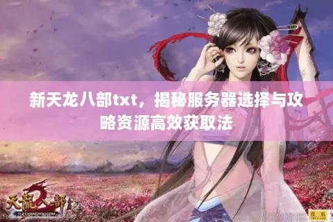 新天龙八部txt，揭秘服务器选择与攻略资源高效获取法