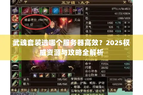 武魂套装选哪个服务器高效?2025权威资源与攻略全解析 武魂套装选哪个服务器高效?2025权威资源与攻略全解析