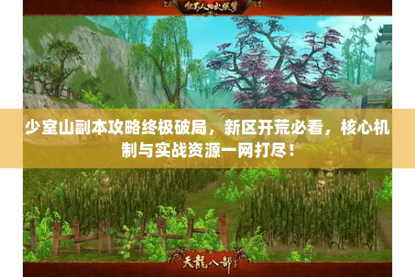 少室山副本攻略终极破局,新区开荒必看,核心机制与实战资源一网打尽! 少室山副本攻略终极破局,新区开荒必看,核心机制与实战资源一网打尽!