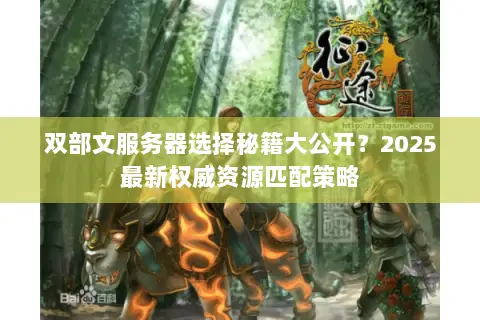 双部文服务器选择秘籍大公开？2025最新权威资源匹配策略