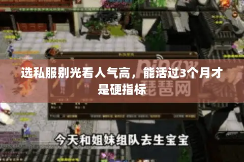 选私服别光看人气高,能活过3个月才是硬指标 选私服别光看人气高,能活过3个月才是硬指标