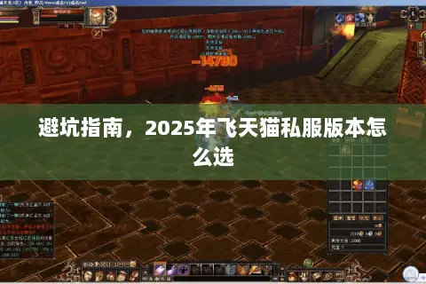 避坑指南,2025年飞天猫私服版本怎么选 避坑指南,2025年飞天猫私服版本怎么选