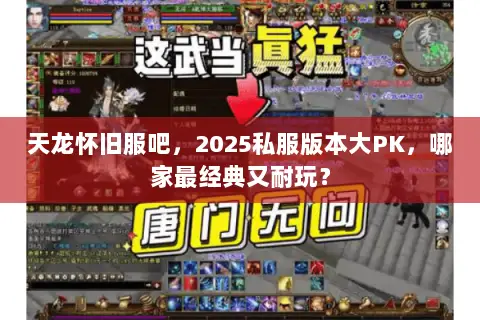 天龙怀旧服吧,2025私服版本大PK,哪家最经典又耐玩? 天龙怀旧服吧,2025私服版本大PK,哪家最经典又耐玩?