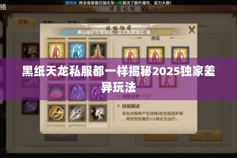 黑纸天龙私服都一样揭秘2025独家差异玩法 黑纸天龙私服都一样揭秘2025独家差异玩法