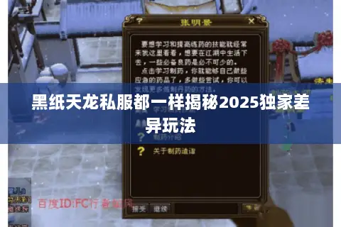 黑纸天龙私服都一样揭秘2025独家差异玩法 黑纸天龙私服都一样揭秘2025独家差异玩法