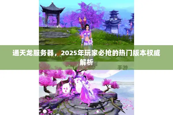 通天龙服务器,2025年玩家必抢的热门版本权威解析 通天龙服务器,2025年玩家必抢的热门版本权威解析