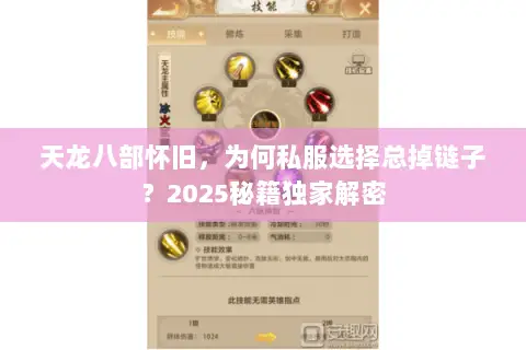 天龙八部怀旧，为何私服选择总掉链子？2025秘籍独家解密