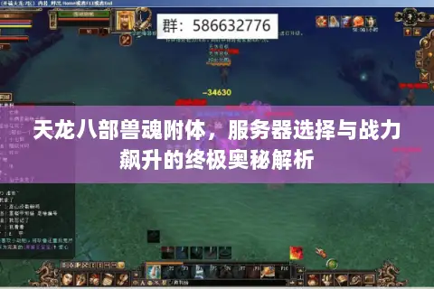 天龙八部兽魂附体，服务器选择与战力飙升的终极奥秘解析