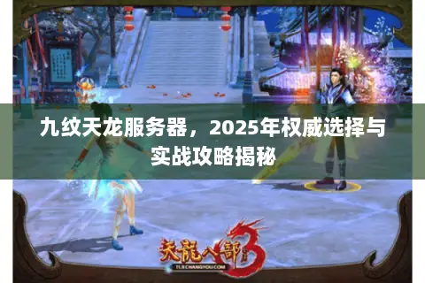 九纹天龙服务器,2025年权威选择与实战攻略揭秘 九纹天龙服务器,2025年权威选择与实战攻略揭秘