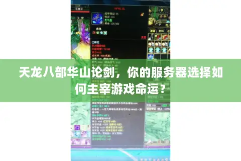 天龙八部华山论剑,你的服务器选择如何主宰游戏命运? 天龙八部华山论剑,你的服务器选择如何主宰游戏命运?