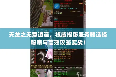 天龙之无意逍遥,权威揭秘服务器选择秘籍与高效攻略实战! 天龙之无意逍遥,权威揭秘服务器选择秘籍与高效攻略实战!