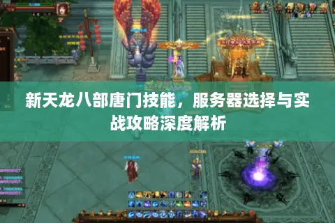 新天龙八部唐门技能,服务器选择与实战攻略深度解析 新天龙八部唐门技能,服务器选择与实战攻略深度解析
