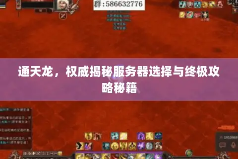 通天龙,权威揭秘服务器选择与终极攻略秘籍 通天龙,权威揭秘服务器选择与终极攻略秘籍