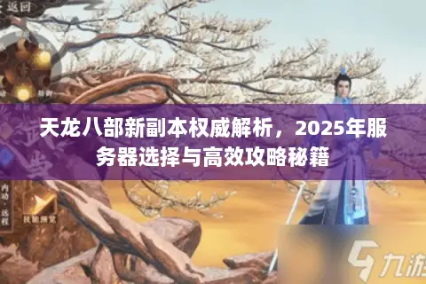 天龙八部新副本权威解析,2025年服务器选择与高效攻略秘籍 天龙八部新副本权威解析,2025年服务器选择与高效攻略秘籍