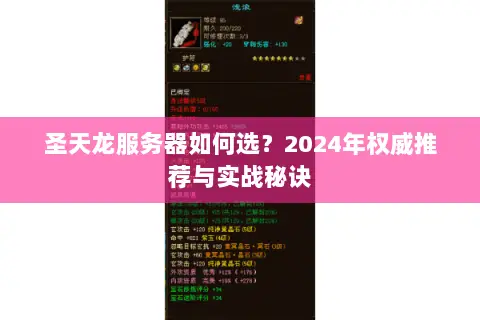 圣天龙服务器如何选?2024年权威推荐与实战秘诀 圣天龙服务器如何选?2024年权威推荐与实战秘诀