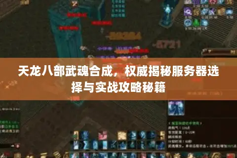 天龙八部武魂合成,权威揭秘服务器选择与实战攻略秘籍 天龙八部武魂合成,权威揭秘服务器选择与实战攻略秘籍