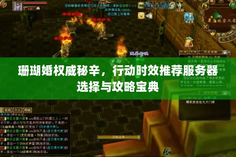 珊瑚婚权威秘辛,行动时效推荐服务器选择与攻略宝典 珊瑚婚权威秘辛,行动时效推荐服务器选择与攻略宝典