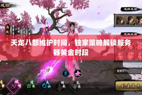天龙八部维护时间，独家策略解锁服务器黄金时段