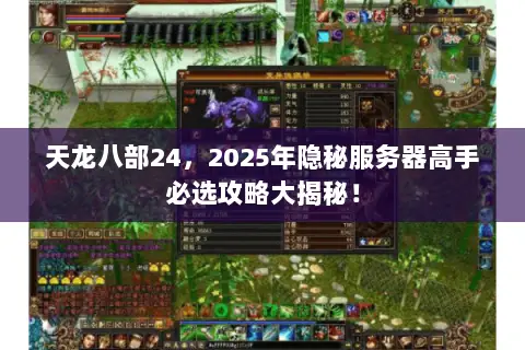 天龙八部24,2025年隐秘服务器高手必选攻略大揭秘! 天龙八部24,2025年隐秘服务器高手必选攻略大揭秘!