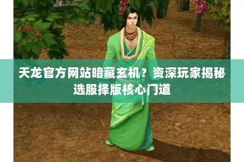 天龙官方网站暗藏玄机？资深玩家揭秘选服择版核心门道