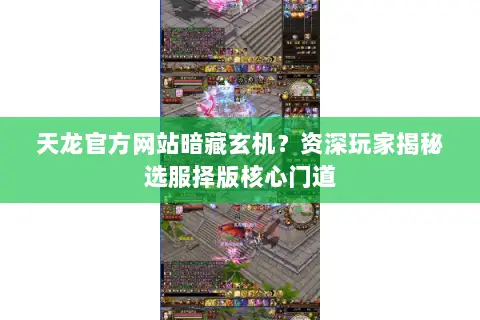 天龙官方网站暗藏玄机？资深玩家揭秘选服择版核心门道