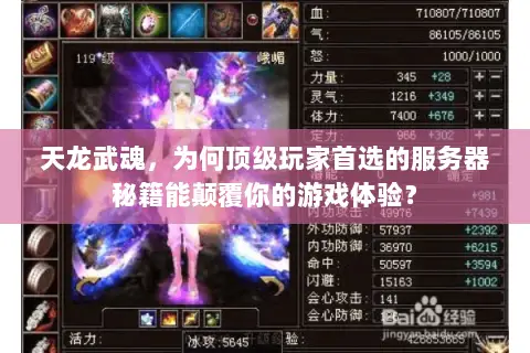 天龙武魂，为何顶级玩家首选的服务器秘籍能颠覆你的游戏体验？