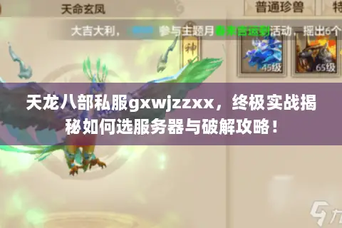 天龙八部私服gxwjzzxx,终极实战揭秘如何选服务器与破解攻略! 天龙八部私服gxwjzzxx,终极实战揭秘如何选服务器与破解攻略!