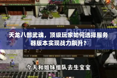 天龙八部武魂，顶级玩家如何选择服务器版本实现战力飙升？