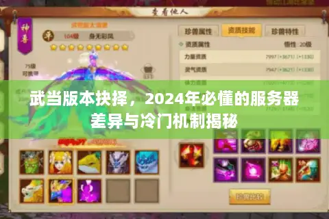 武当版本抉择，2024年必懂的服务器差异与冷门机制揭秘