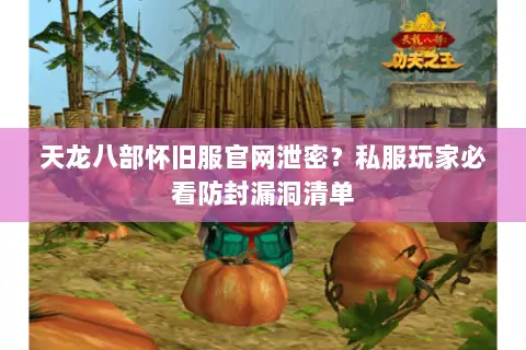 天龙八部怀旧服官网泄密?私服玩家必看防封漏洞清单 天龙八部怀旧服官网泄密?私服玩家必看防封漏洞清单