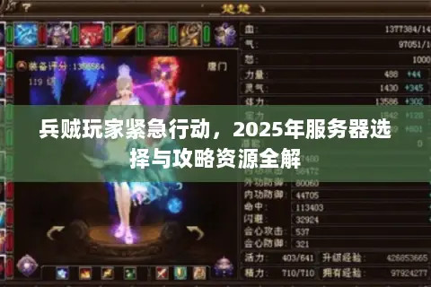 兵贼玩家紧急行动，2025年服务器选择与攻略资源全解
