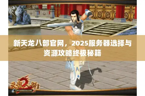 新天龙八部官网，2025服务器选择与资源攻略终极秘籍