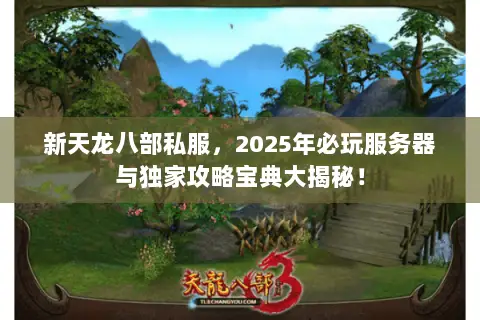 新天龙八部私服，2025年必玩服务器与独家攻略宝典大揭秘！
