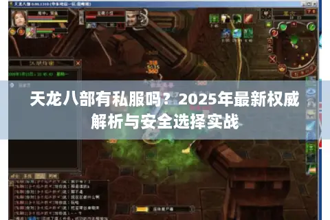 天龙八部有私服吗?2025年最新权威解析与安全选择实战 天龙八部有私服吗?2025年最新权威解析与安全选择实战