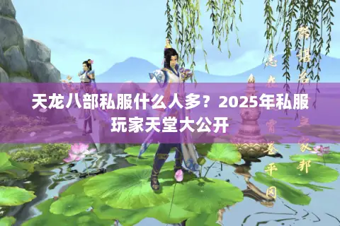 天龙八部私服什么人多?2025年私服玩家天堂大公开 天龙八部私服什么人多?2025年私服玩家天堂大公开