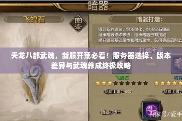 天龙八部武魂,新服开荒必看!服务器选择、版本差异与武魂养成终极攻略 天龙八部武魂,新服开荒必看!服务器选择、版本差异与武魂养成终极攻略