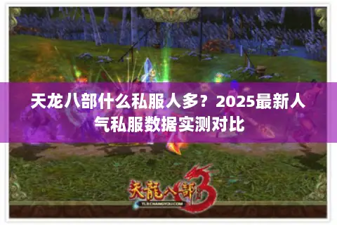 天龙八部什么私服人多?2025最新人气私服数据实测对比 天龙八部什么私服人多?2025最新人气私服数据实测对比