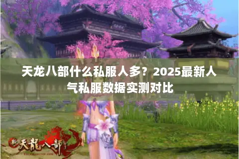 天龙八部什么私服人多?2025最新人气私服数据实测对比 天龙八部什么私服人多?2025最新人气私服数据实测对比