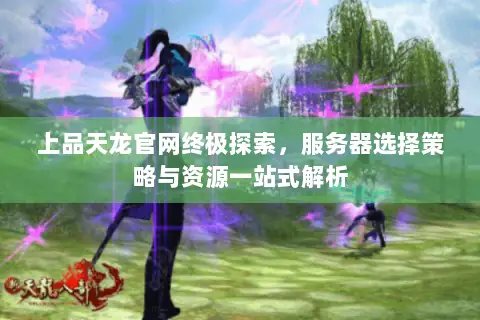 上品天龙官网终极探索,服务器选择策略与资源一站式解析 上品天龙官网终极探索,服务器选择策略与资源一站式解析