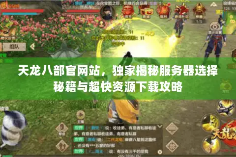 天龙八部官网站，独家揭秘服务器选择秘籍与超快资源下载攻略