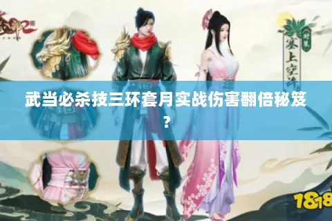武当必杀技三环套月实战伤害翻倍秘笈? 武当必杀技三环套月实战伤害翻倍秘笈?
