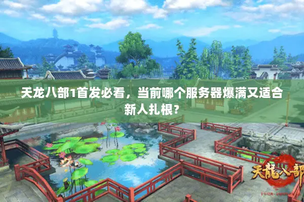 天龙八部1首发必看,当前哪个服务器爆满又适合新人扎根? 天龙八部1首发必看,当前哪个服务器爆满又适合新人扎根?