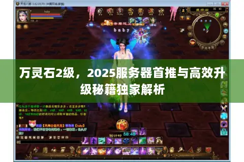 万灵石2级,2025服务器首推与高效升级秘籍独家解析 万灵石2级,2025服务器首推与高效升级秘籍独家解析