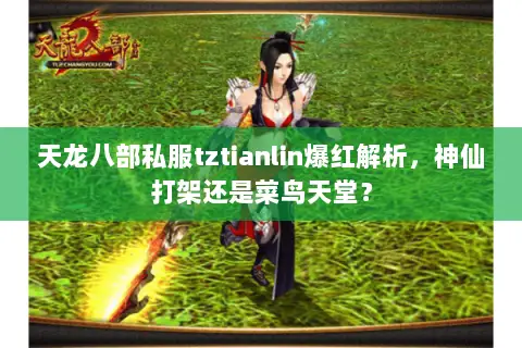 天龙八部私服tztianlin爆红解析,神仙打架还是菜鸟天堂? 天龙八部私服tztianlin爆红解析,神仙打架还是菜鸟天堂?
