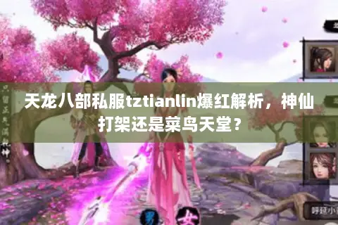 天龙八部私服tztianlin爆红解析,神仙打架还是菜鸟天堂? 天龙八部私服tztianlin爆红解析,神仙打架还是菜鸟天堂?