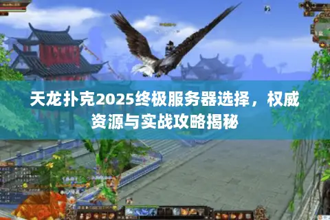 天龙扑克2025终极服务器选择,权威资源与实战攻略揭秘 天龙扑克2025终极服务器选择,权威资源与实战攻略揭秘