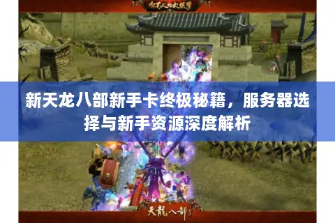 新天龙八部新手卡终极秘籍,服务器选择与新手资源深度解析 新天龙八部新手卡终极秘籍,服务器选择与新手资源深度解析