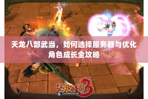 天龙八部武当,如何选择服务器与优化角色成长全攻略 天龙八部武当,如何选择服务器与优化角色成长全攻略