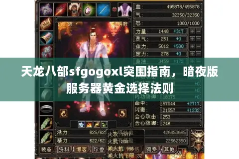 天龙八部sfgogoxl突围指南，暗夜版服务器黄金选择法则