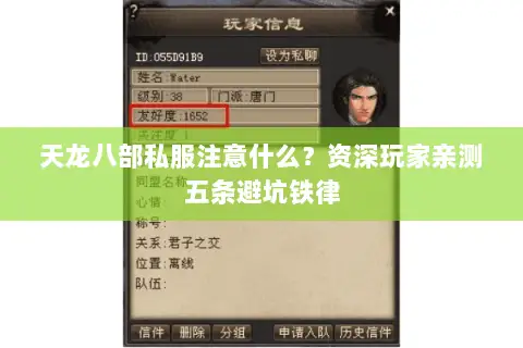 天龙八部私服注意什么?资深玩家亲测五条避坑铁律 天龙八部私服注意什么?资深玩家亲测五条避坑铁律